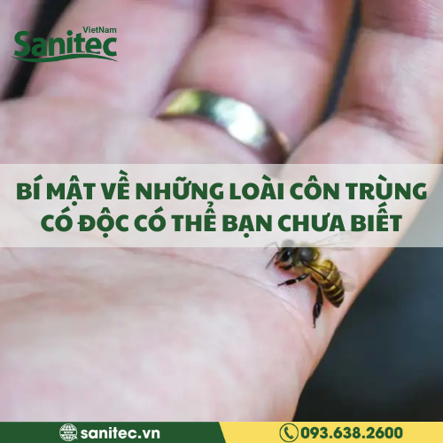 BÍ MẬT VỀ NHỮNG LOÀI CÔN TRÙNG CÓ ĐỘC CÓ THỂ BẠN CHƯA BIẾT